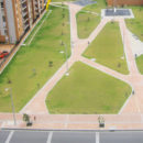 Principal 6