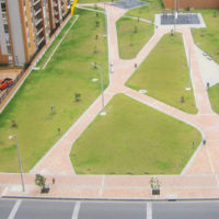 Principal 6