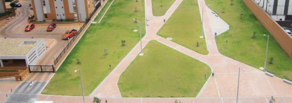 Principal 6