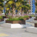 Principal 7