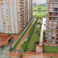 Principal 8